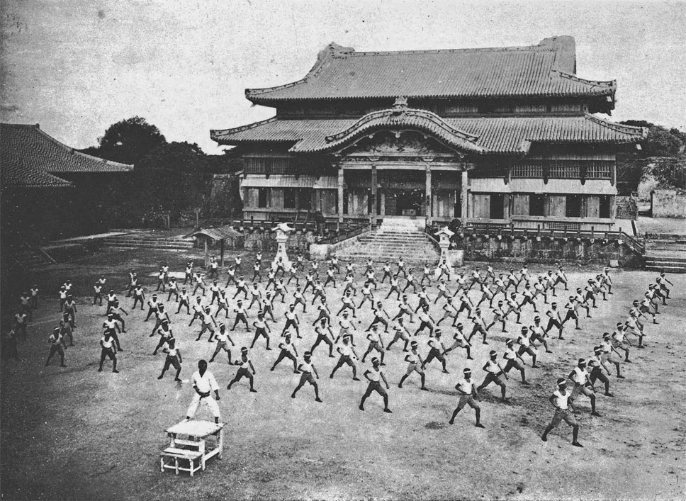 Karate ShuriCastle