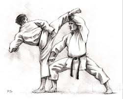 karate-ninos